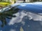 2018 Audi RS 5 Coupe 2.9 TFSI quattro tiptronic